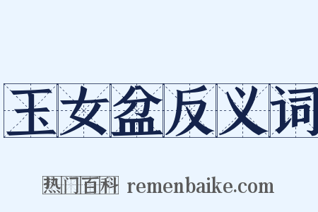 玉女盆反义词是什么意思的图片